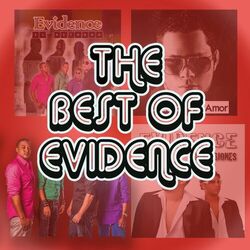 Cover of The Best Of Evidence
