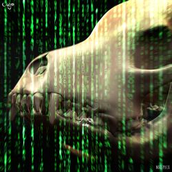Cover of Source Code