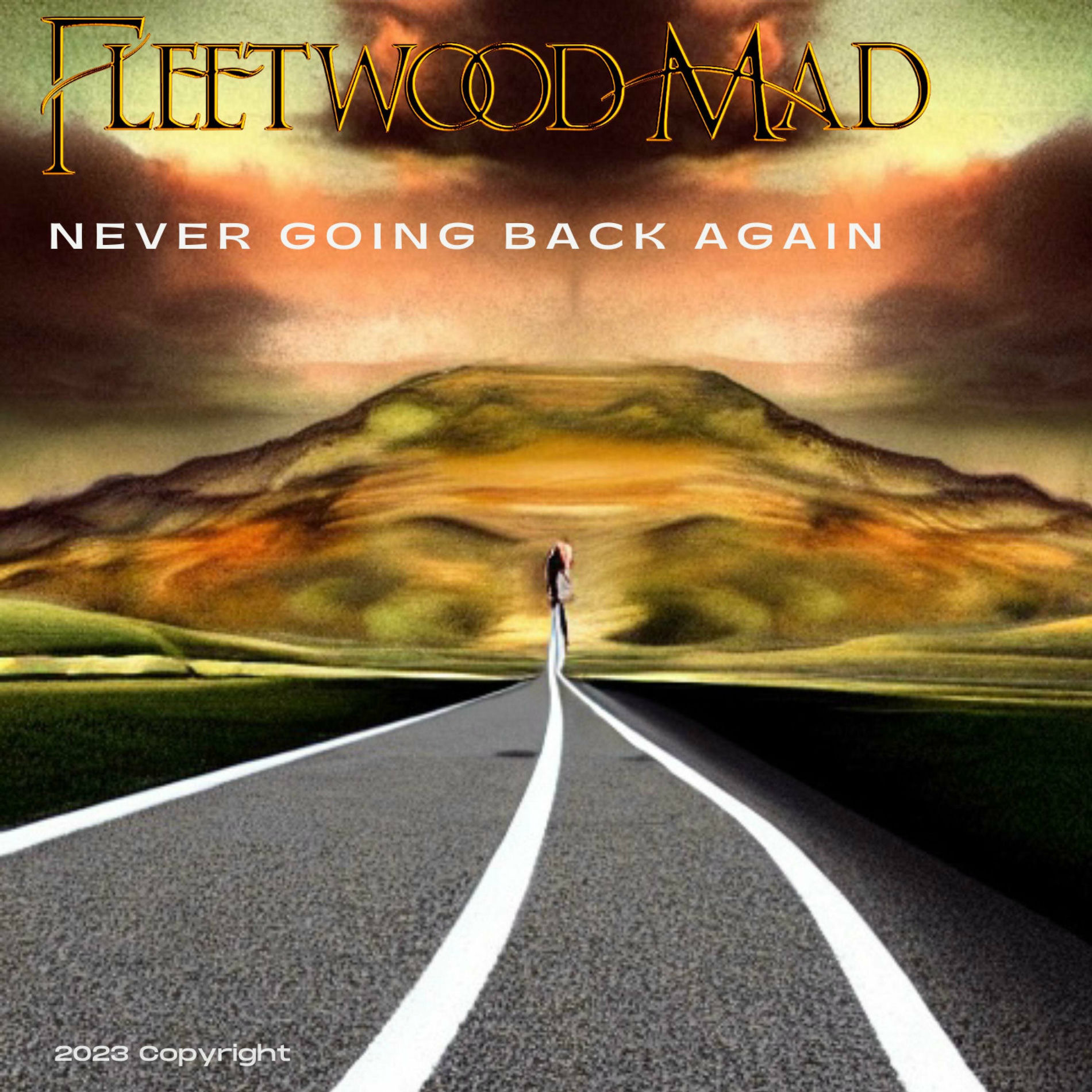 Album cover of Never Going Back Again