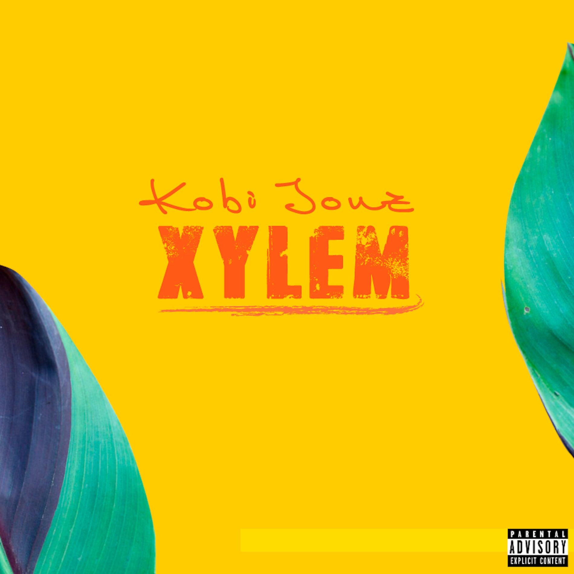Album cover of Anticipation