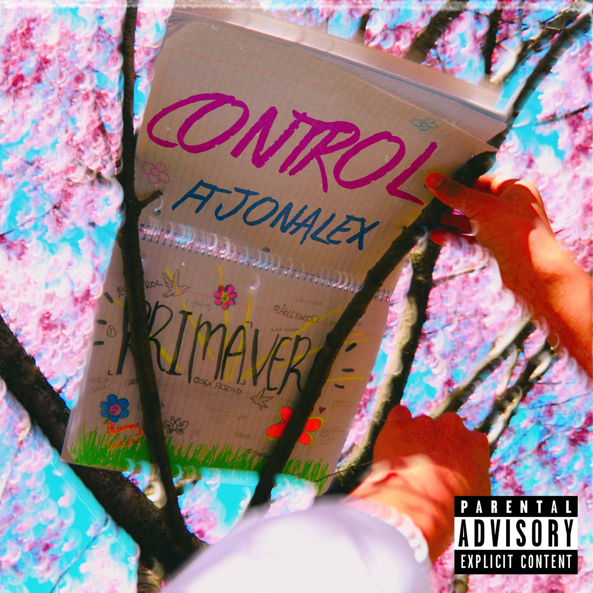 Album cover of CONTROL (feat. Jonalex)