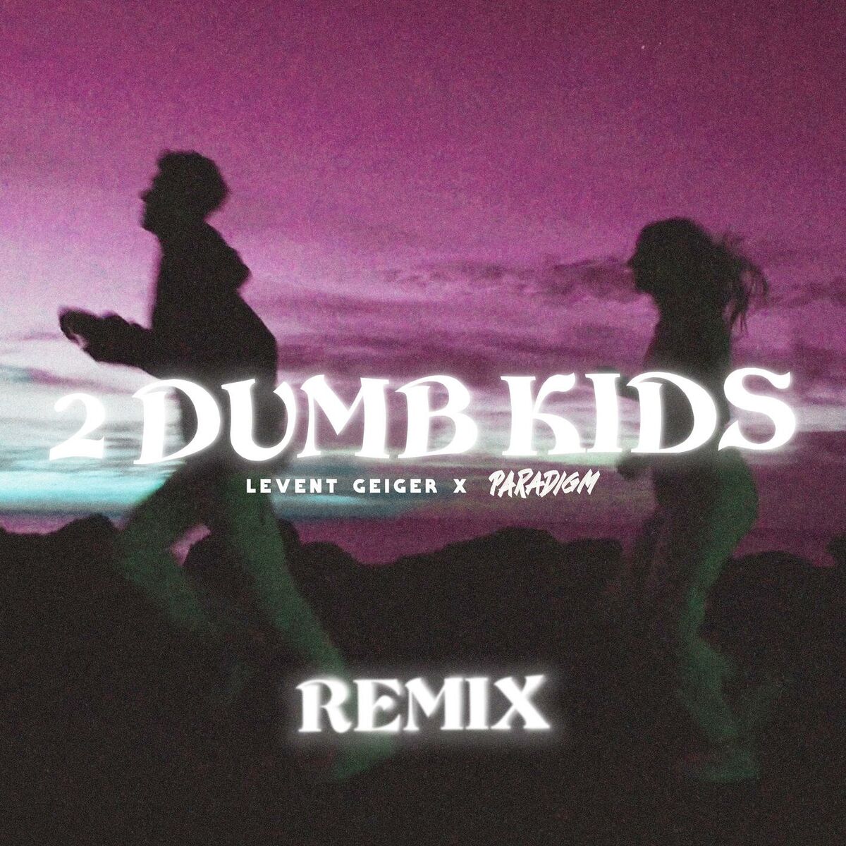 Album cover of 2 Dumb Kids