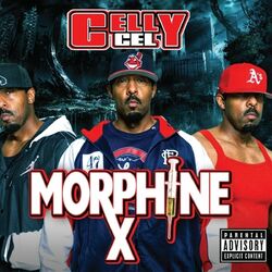 Cover of Morphine