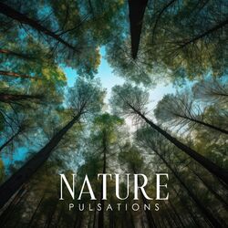 Cover of Nature Pulsations: Handpan with Relaxing Nature Sounds