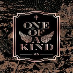 Cover of One of a Kind