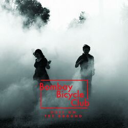 Cover of Dust On The Ground