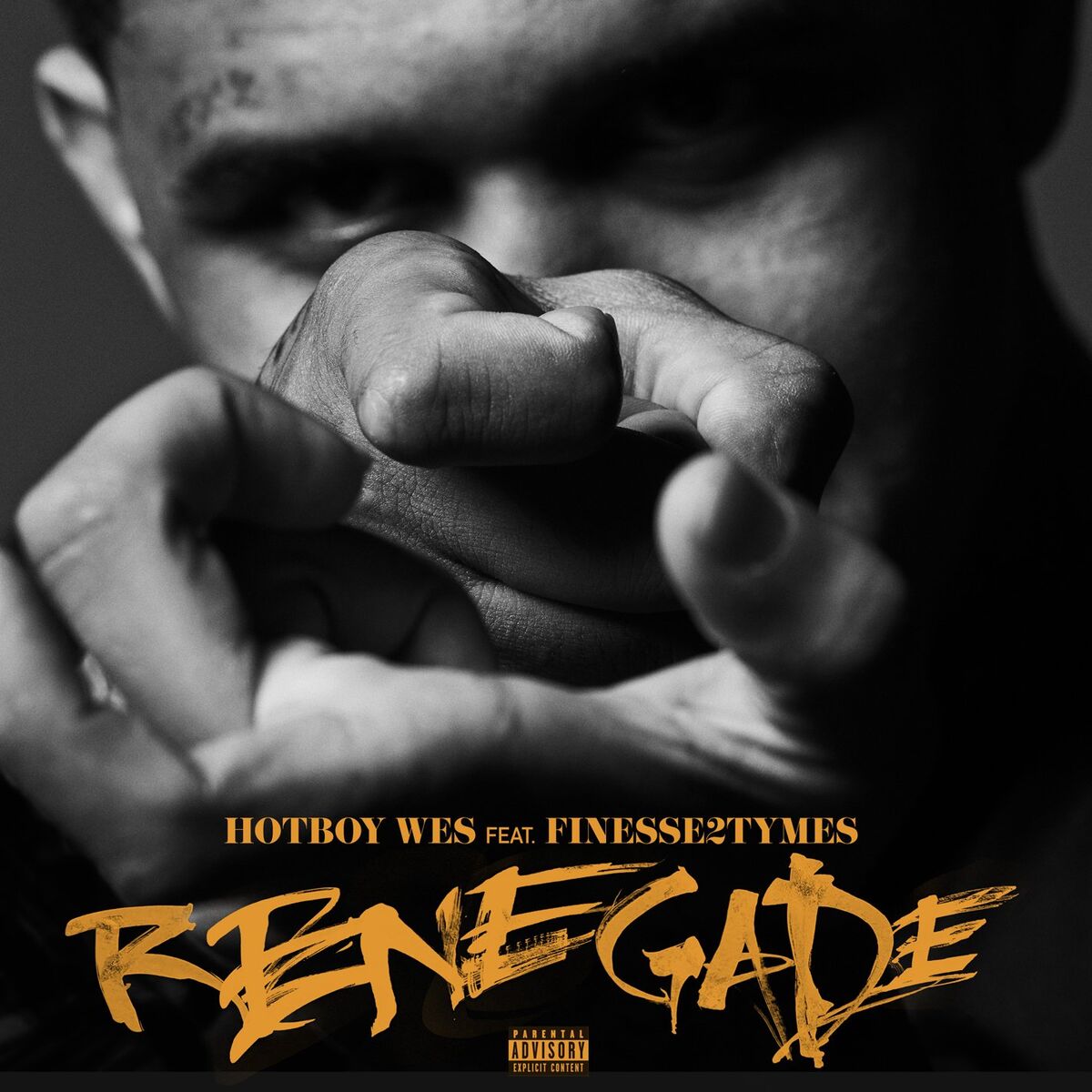 Album cover of Renegade (feat. Finesse2Tymes)