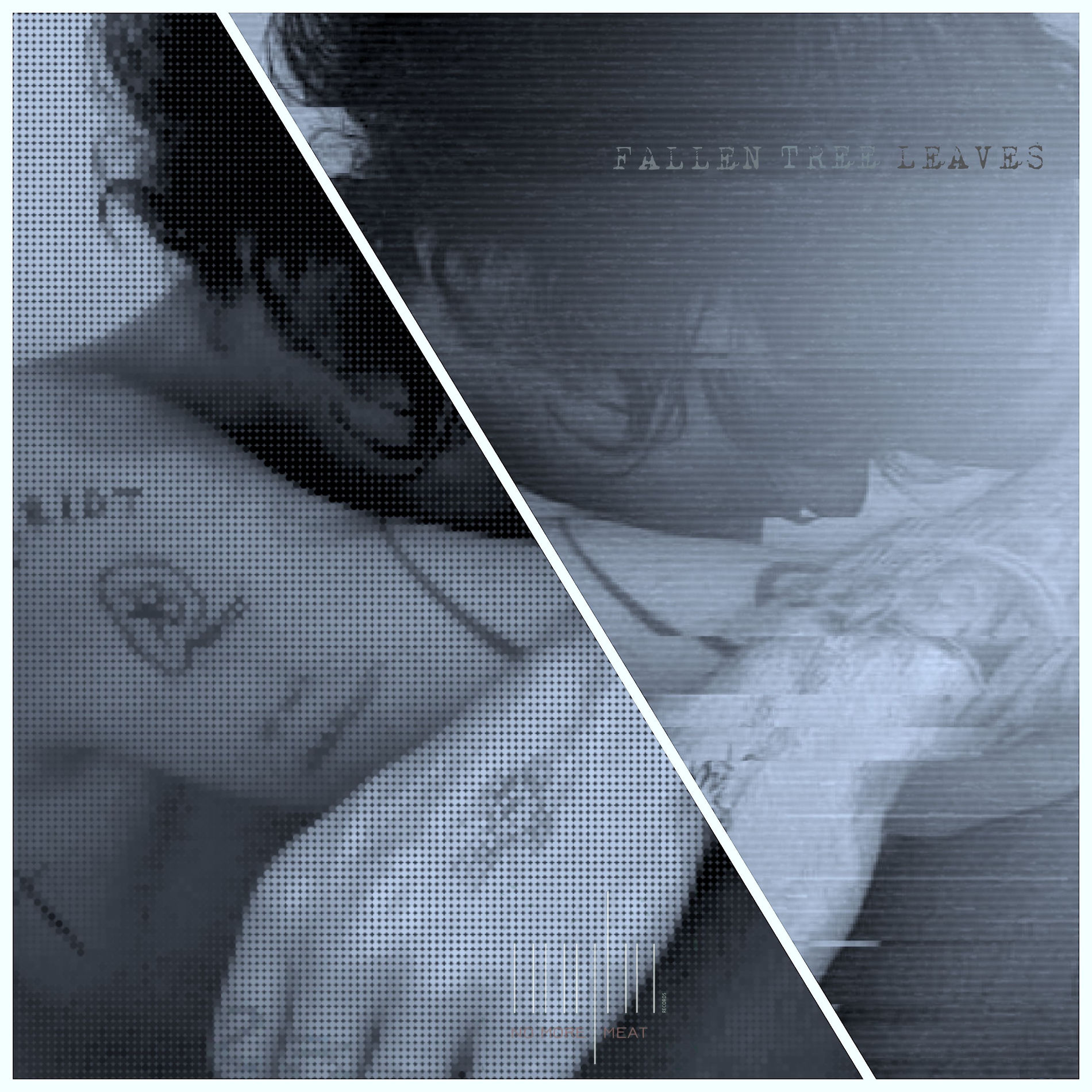 Album cover of Fallen Tree Leaves