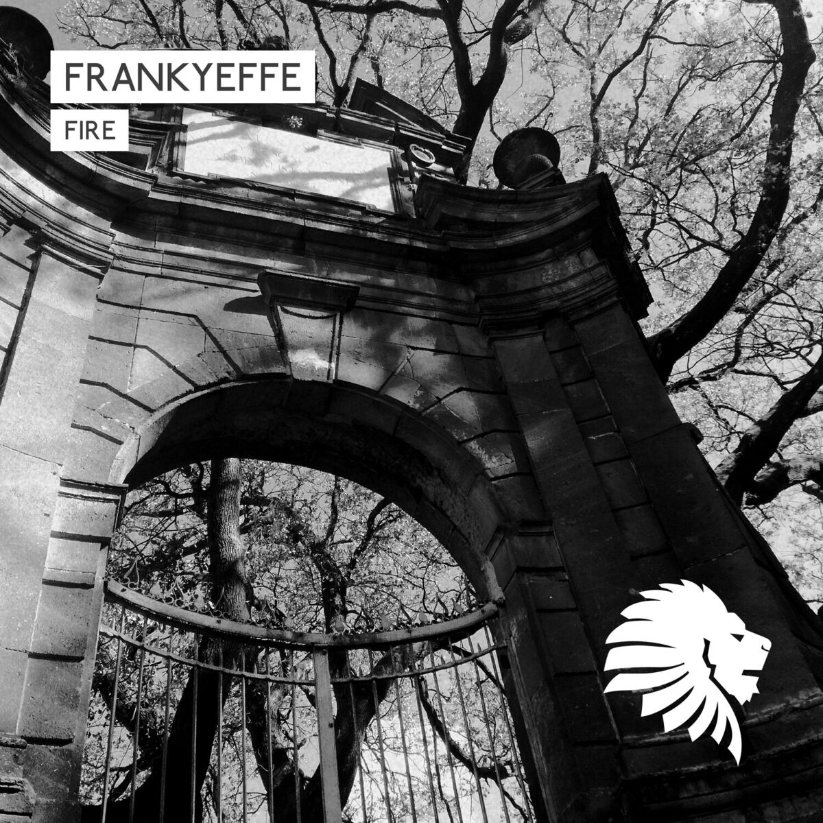 Album cover of Fire