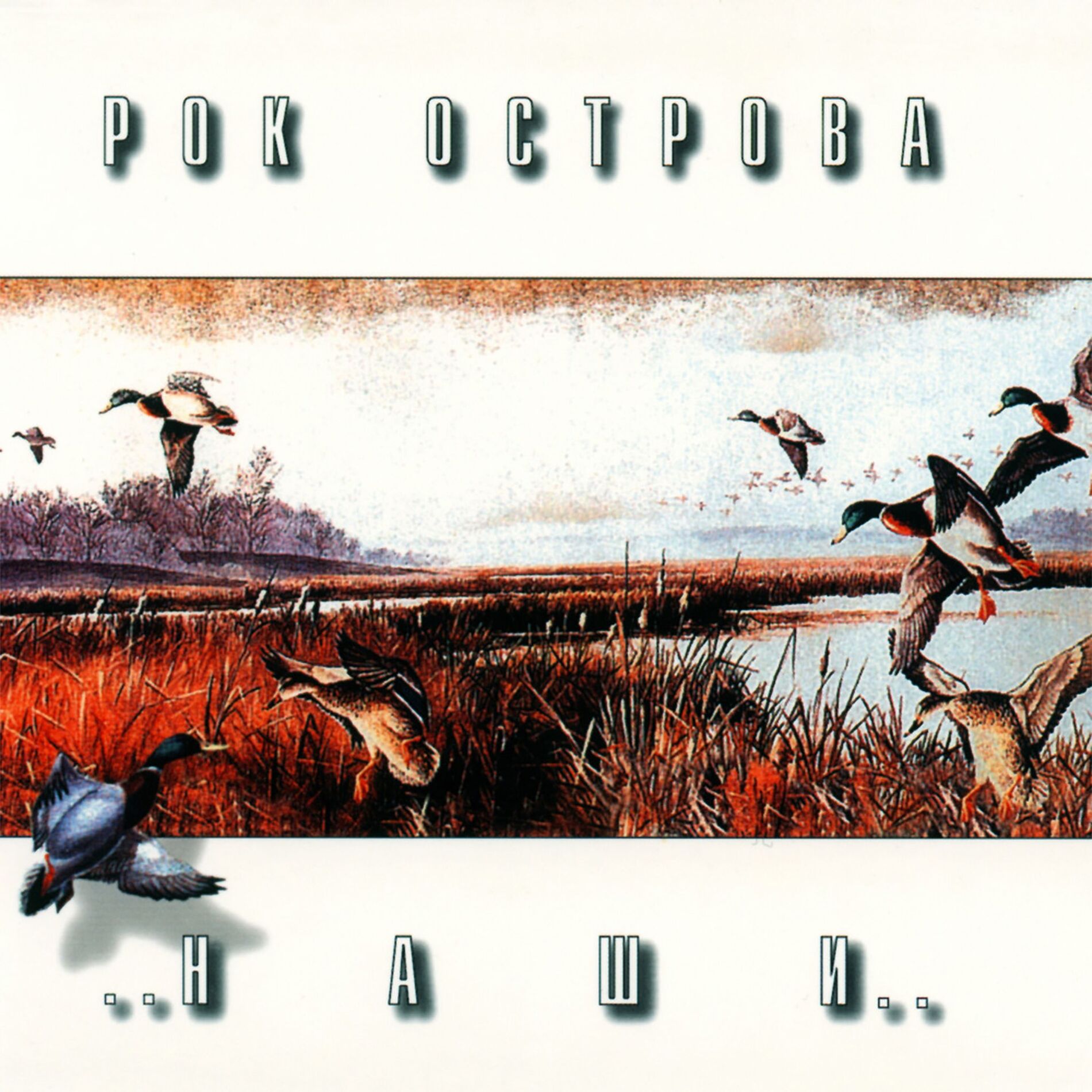 Album cover of Чёрный ворон
