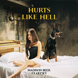 Cover of Hurts Like Hell