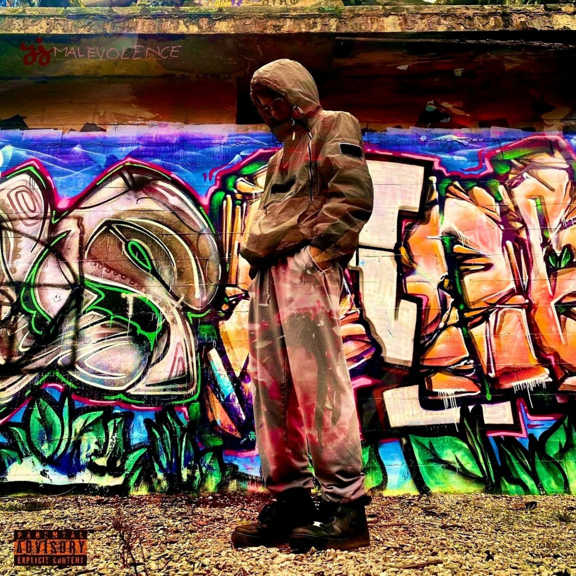 Album cover of Malevolence