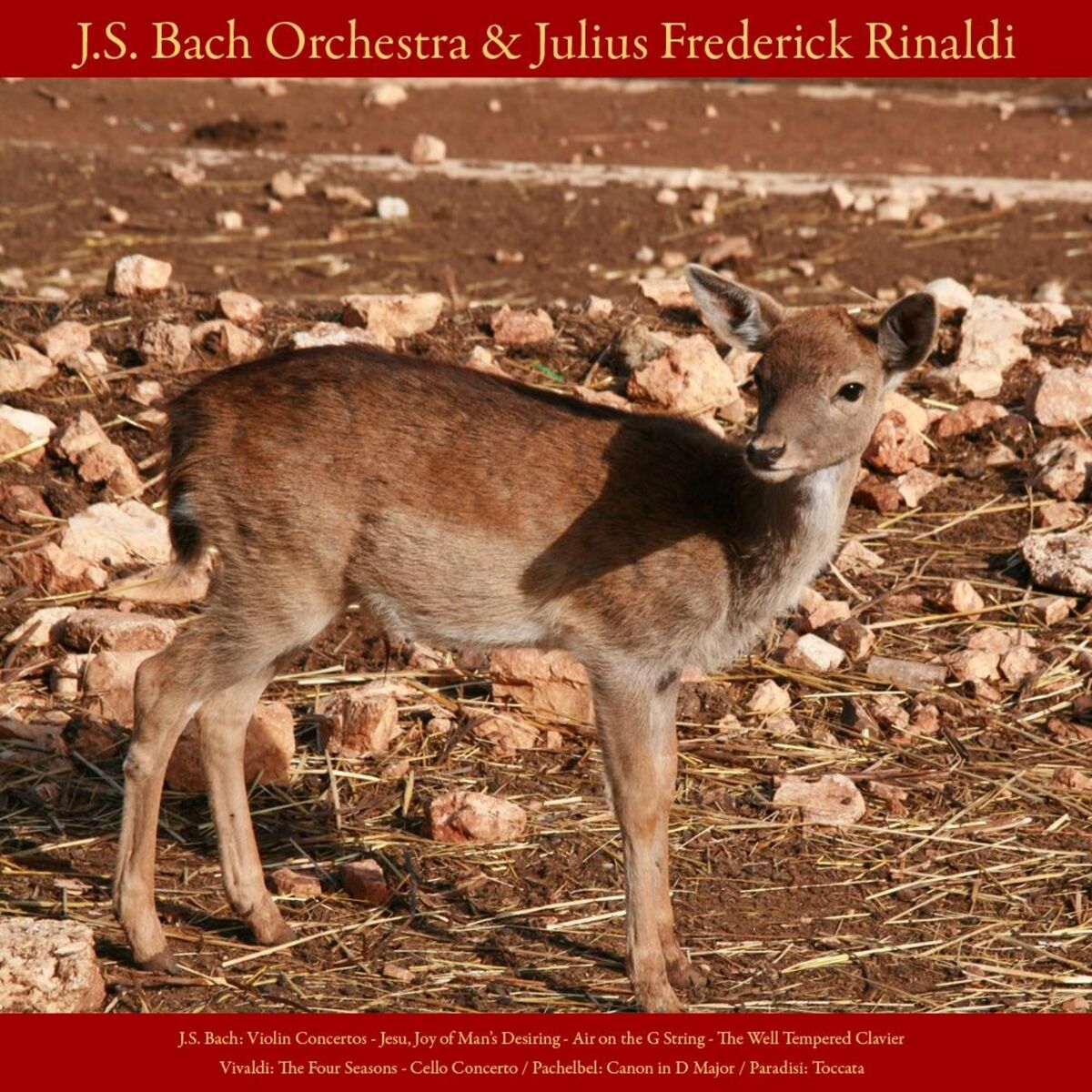 Album cover of Cantata: 