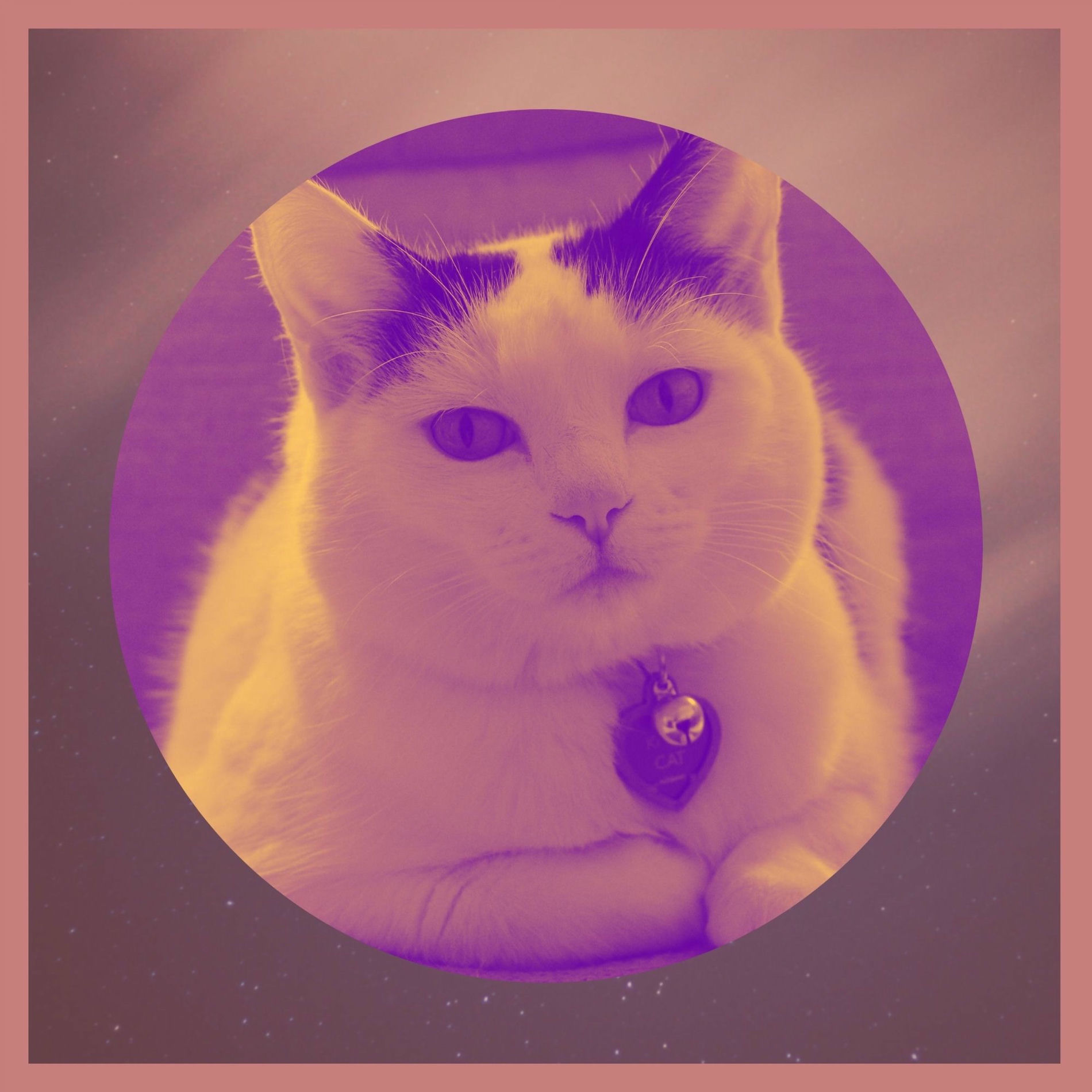 Album cover of Wicked Trio Jazz - Bgm for Cute Kitten