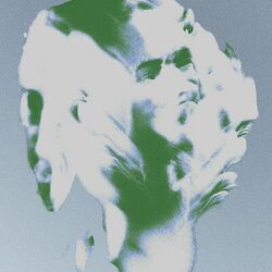 Cover of Three Foxes Chasing Each Other