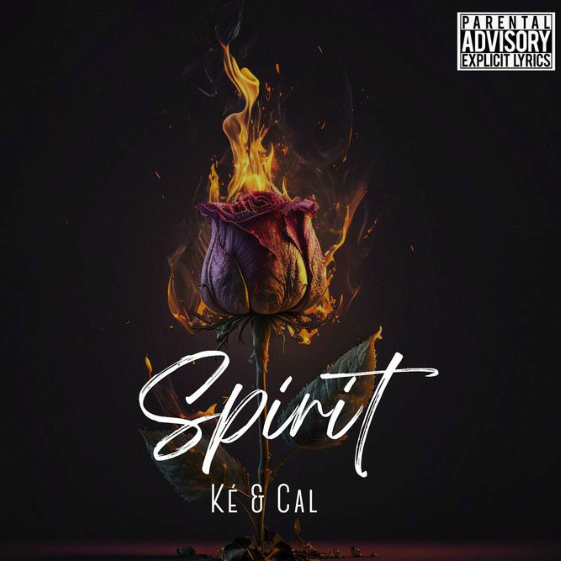 Album cover of Spirit