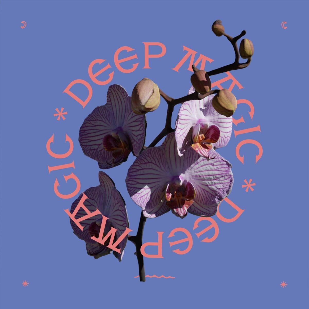 Album cover of DEEP MAGIC