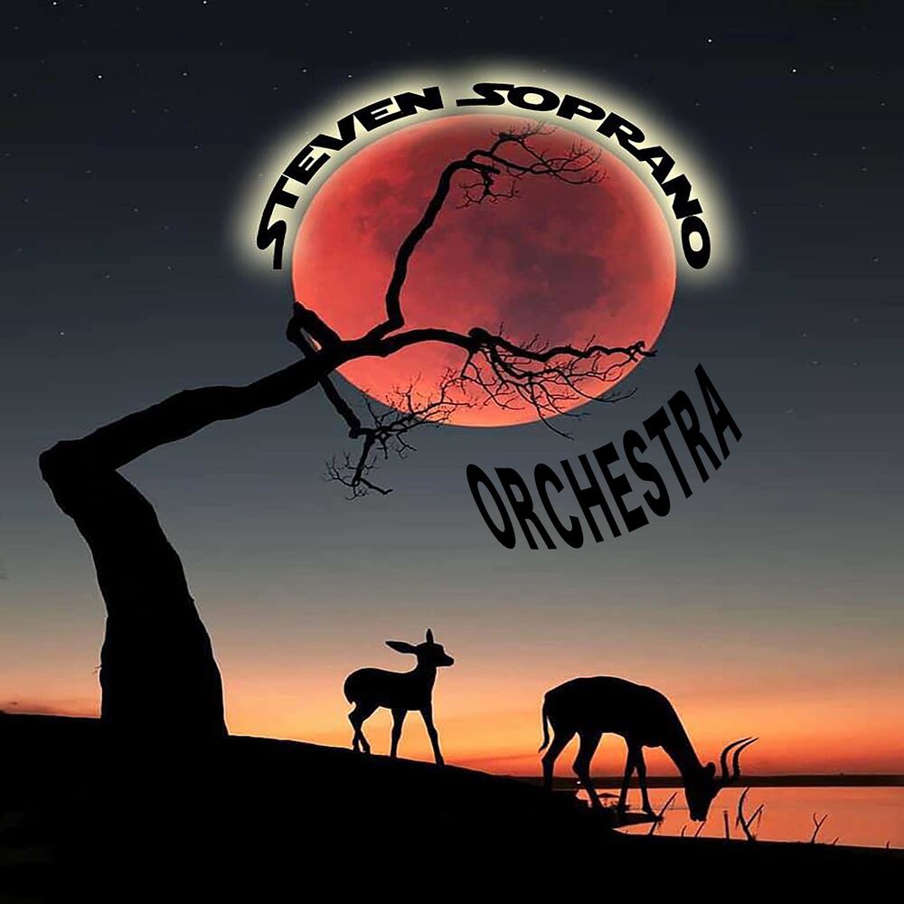 Picture of Orchestra