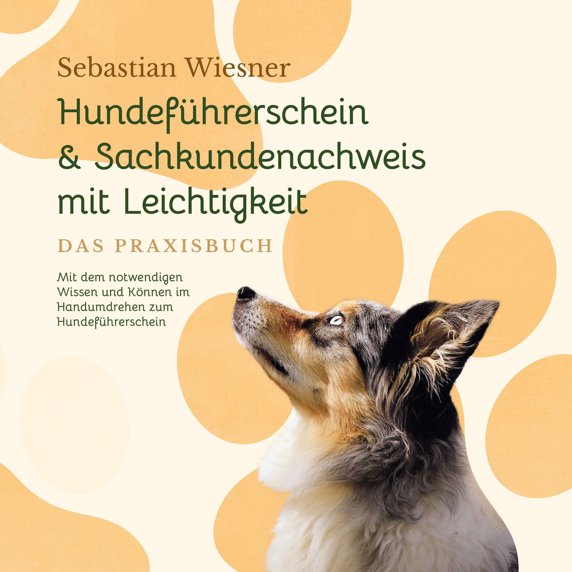 Album cover of Hundeführerschein & Sachkundenachweis mit Leichtigkeit - Das Praxisbuch: Mit dem notwendigen Wissen und Können im Handumdrehen zum