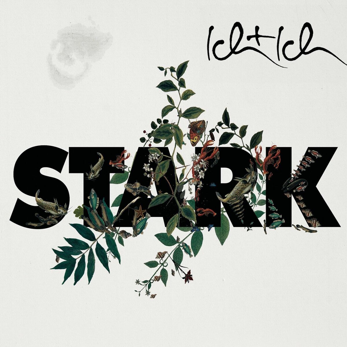 Album cover of Stark