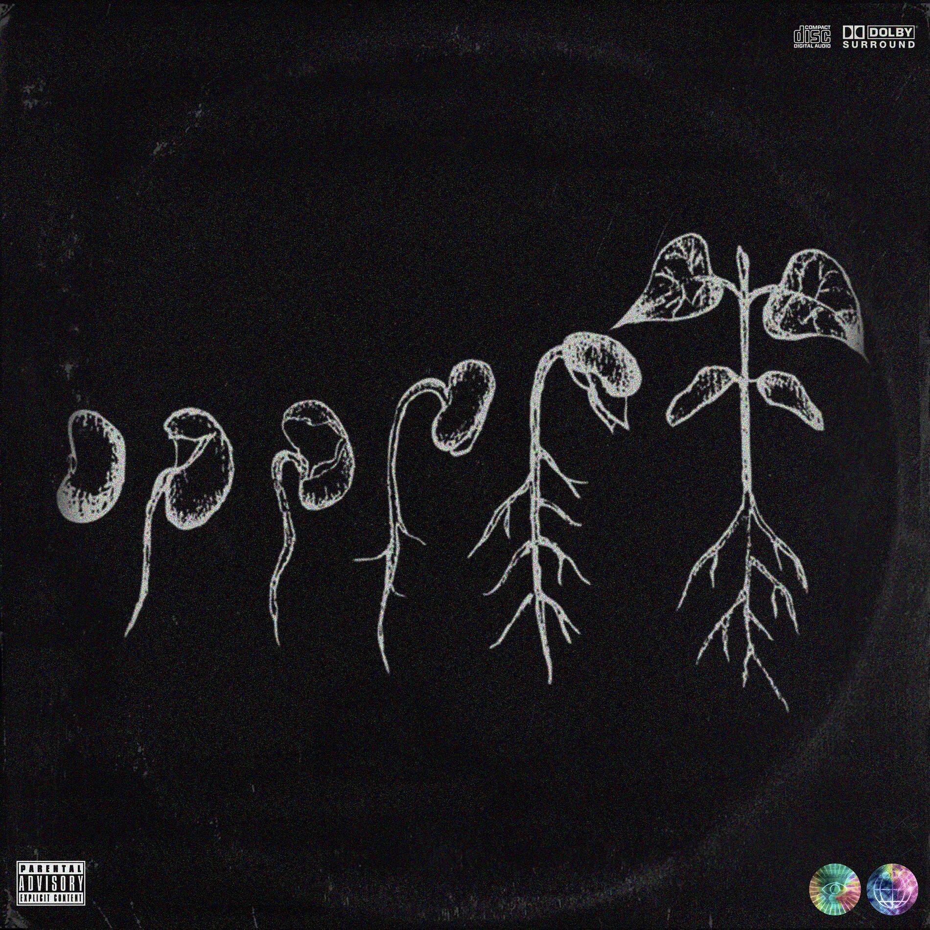 Album cover of Roots