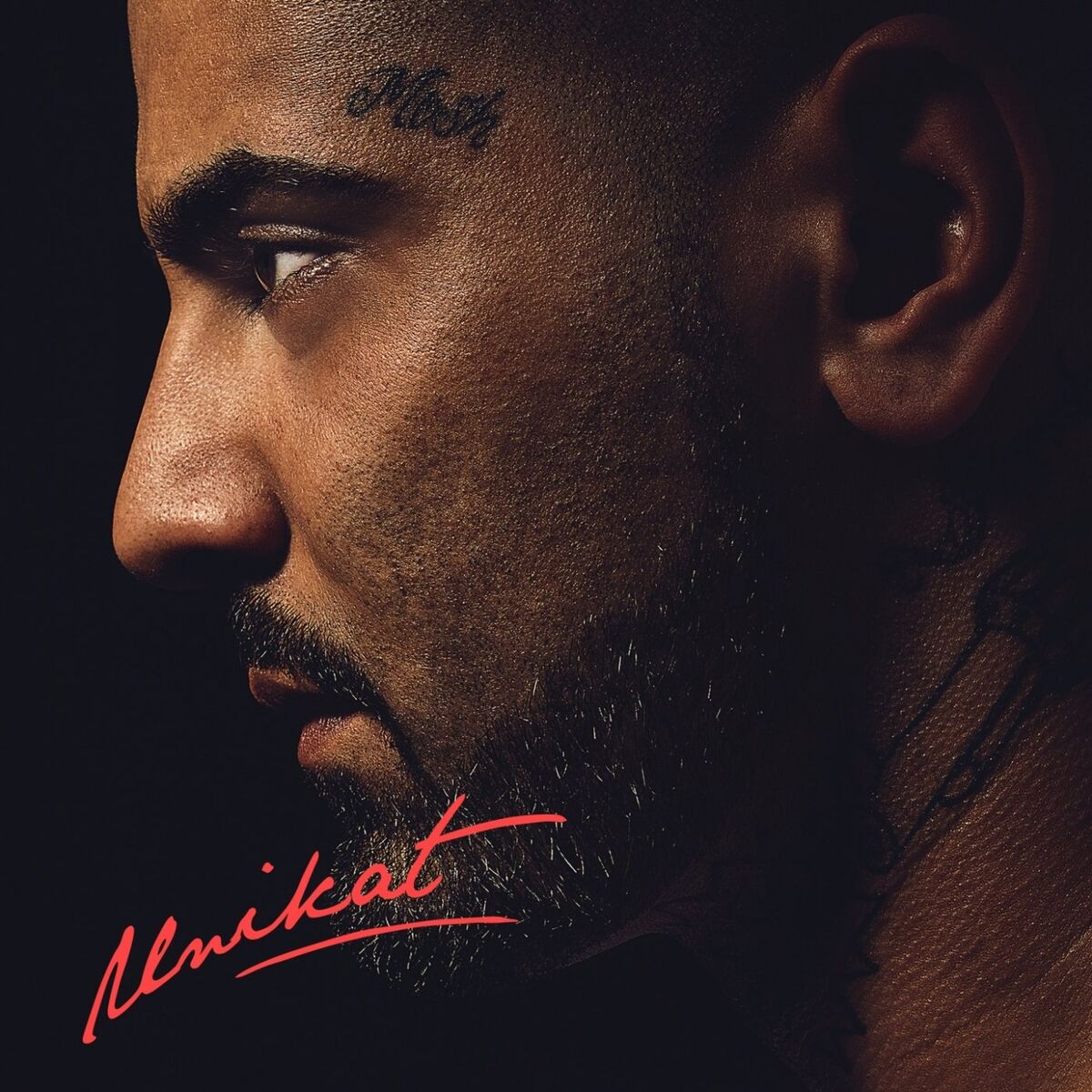 Album cover of Unikat (Deluxe Edition)