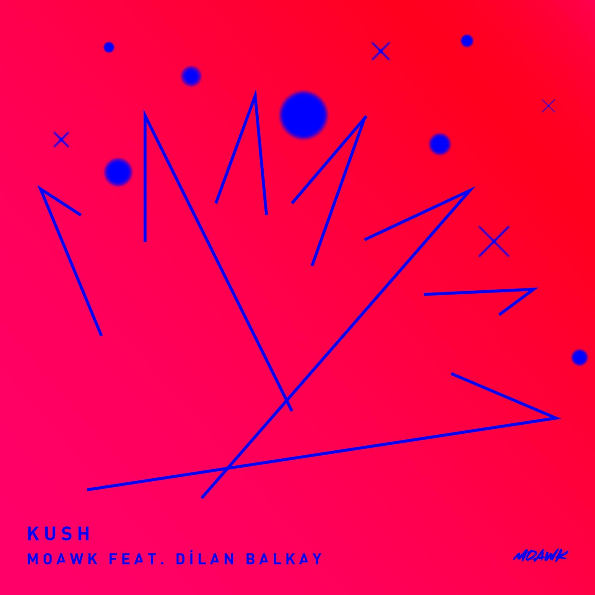 Album cover of Kush (feat. Dilan Balkay)