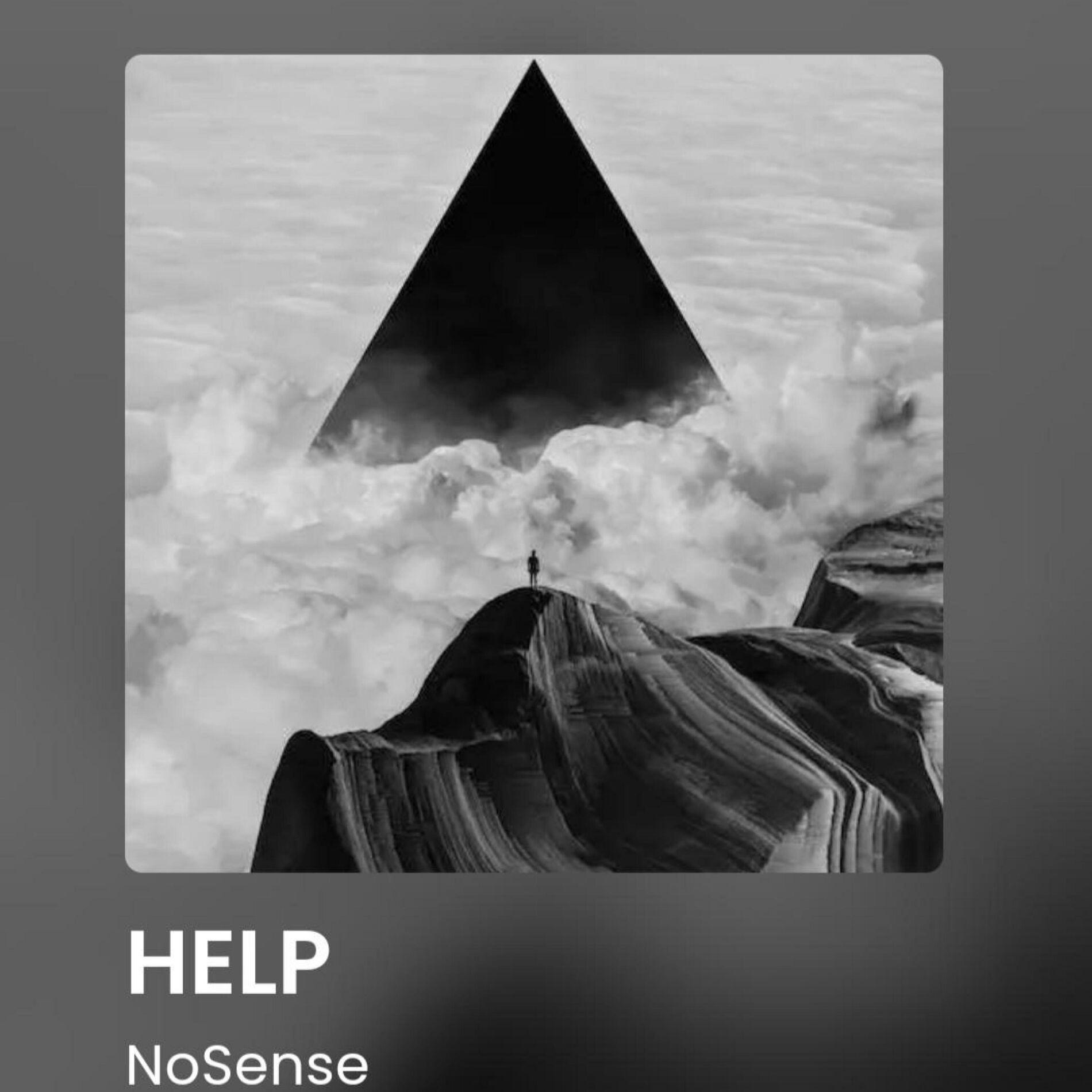 Album cover of HELP