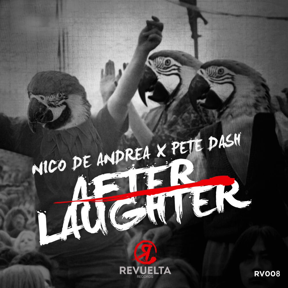 Picture of After Laughter