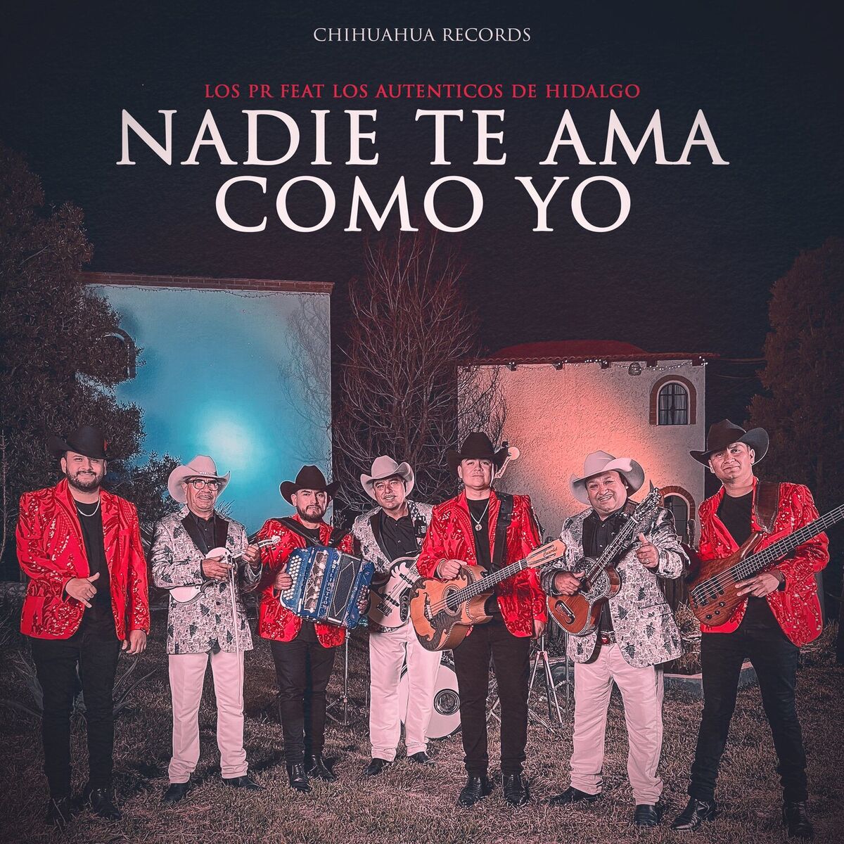 Album cover of Nadie Te Ama Como Yo