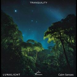 Cover of Tranquility