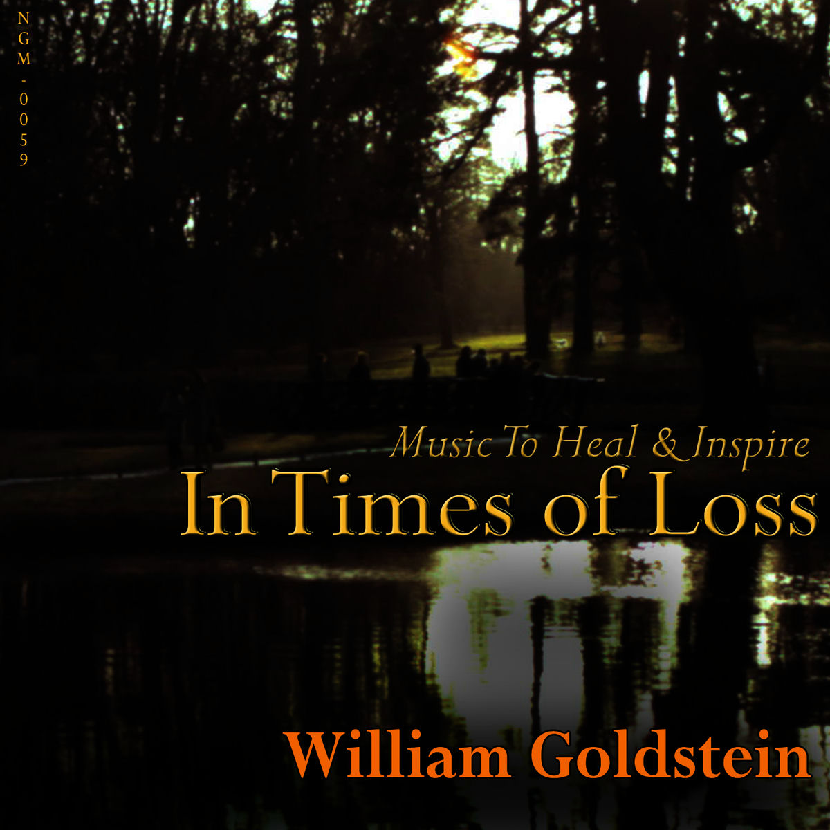 Album cover of In Times Of Loss: Music To Heal & Inspire