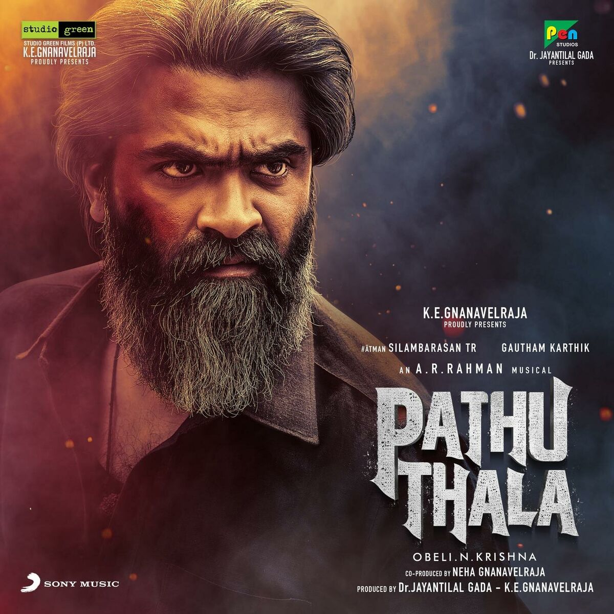 Album cover of Nee Singam Dhan
