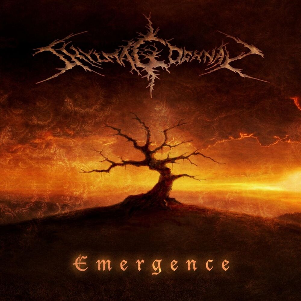 Picture of Emergence