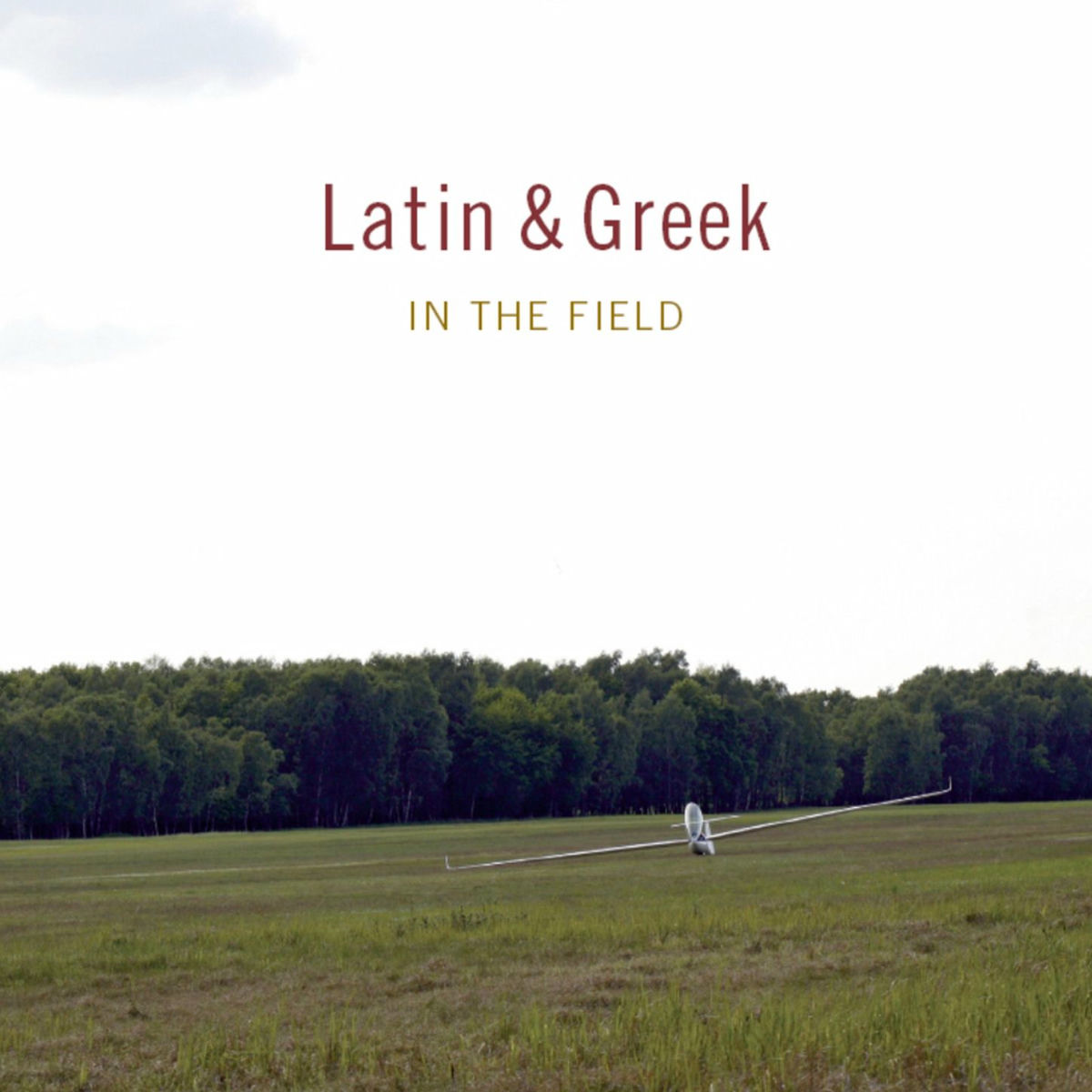 Album cover of In the field