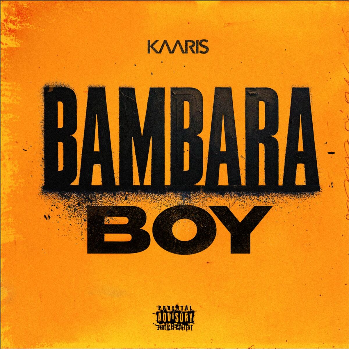 Album cover of Bambara Boy