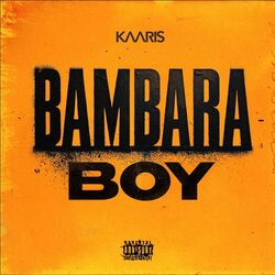 Cover of Bambara Boy