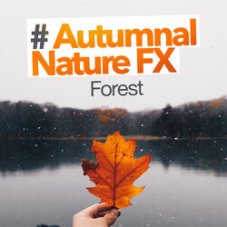 Cover of # Autumnal Nature FX
