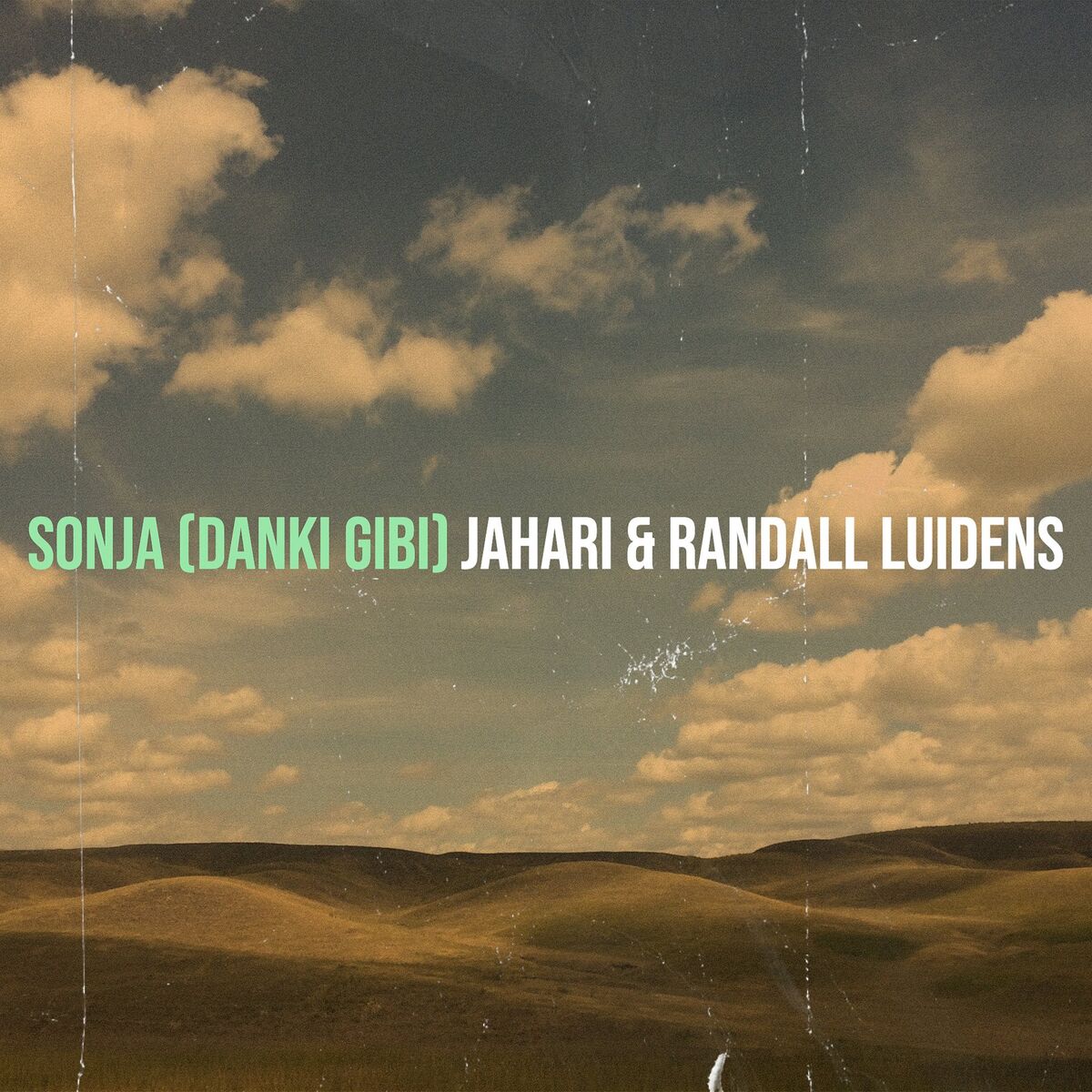 Album cover of Sonja (Danki Gibi)