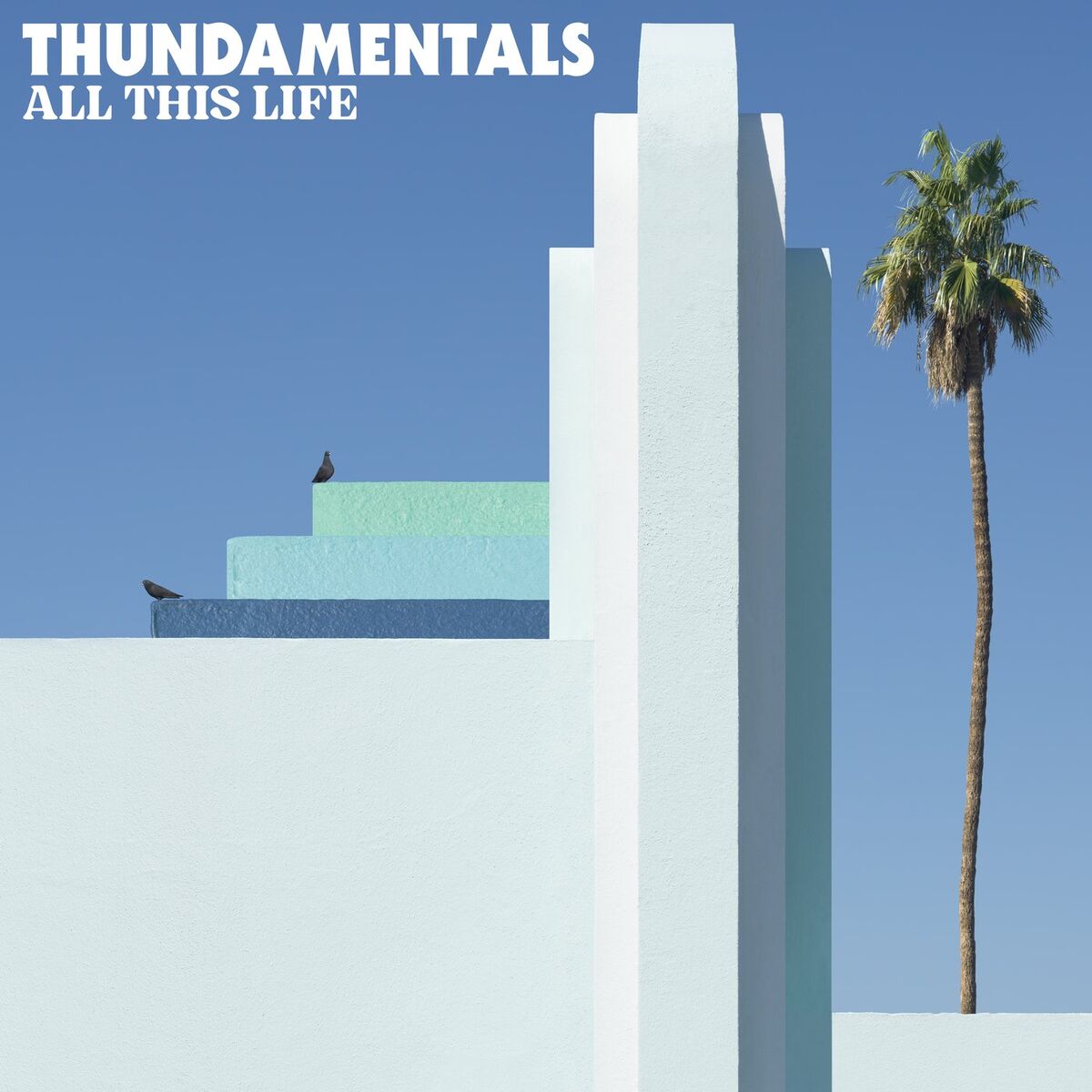 Album cover of All This Life