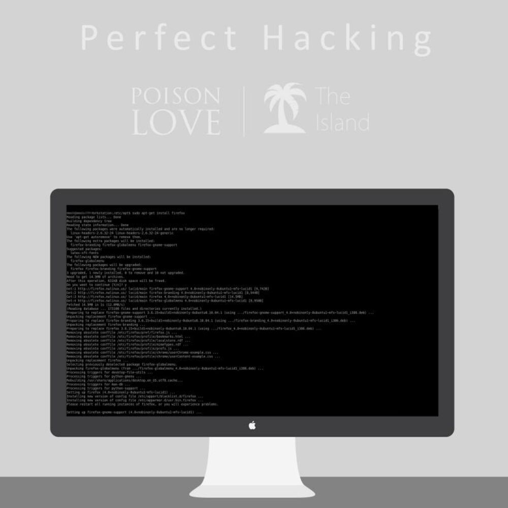 Picture of Perfect Hacking