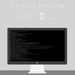 Cover of Perfect Hacking