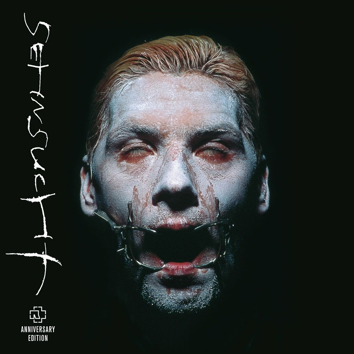 Album cover of Sehnsucht