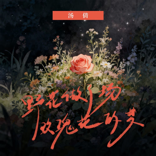 野花做了场玫瑰花的梦