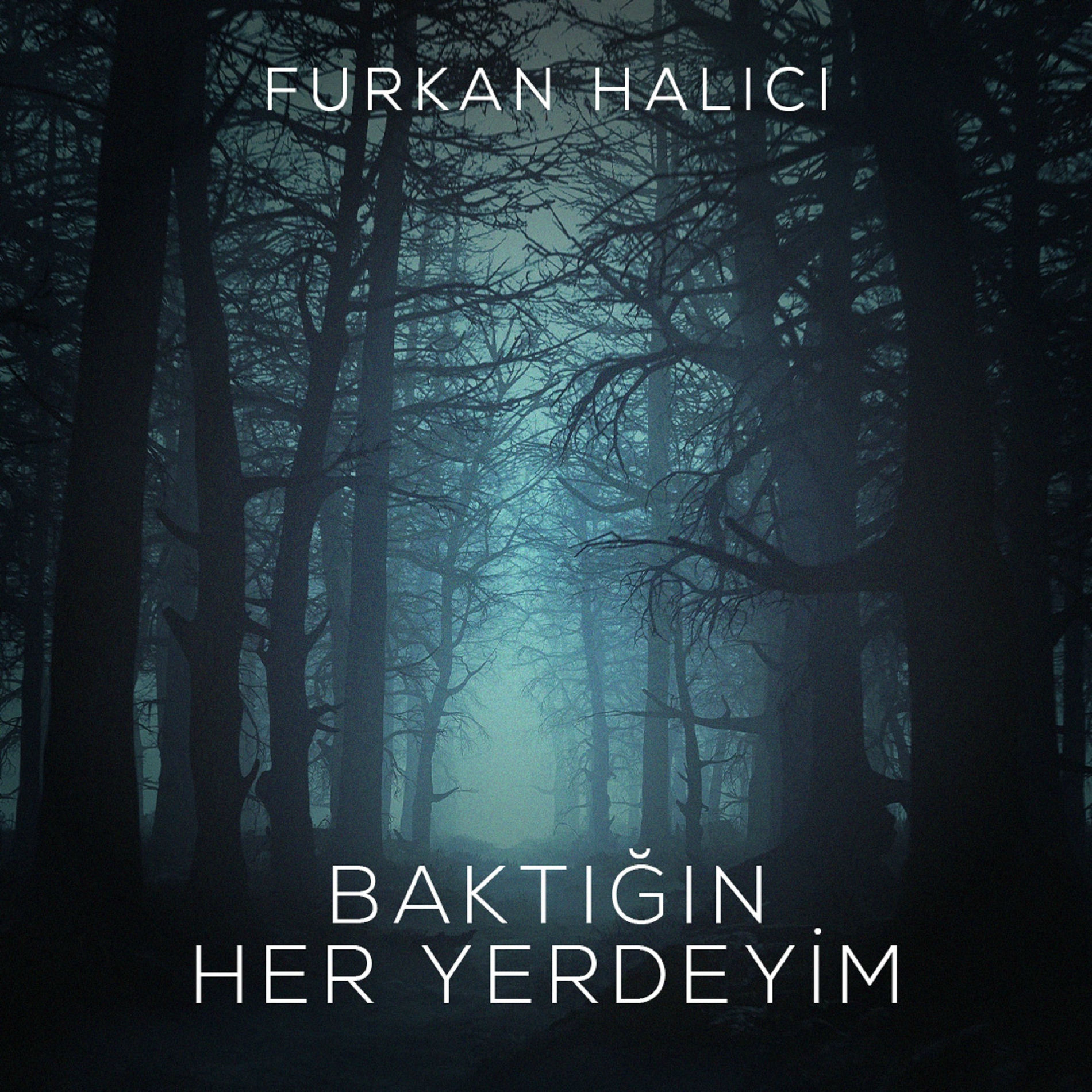 Album cover of Baktığın Her Yerdeyim