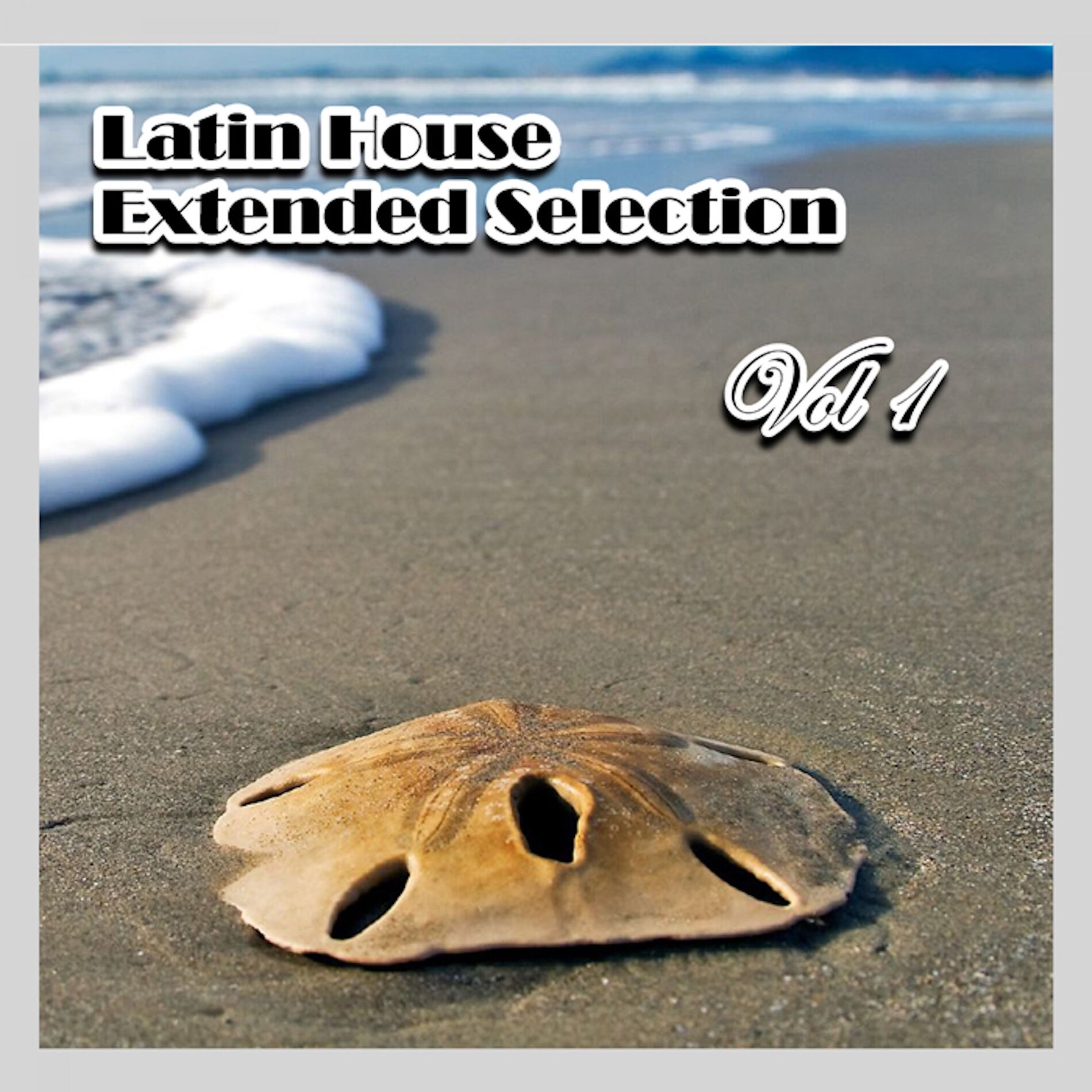 Album cover of Latin House Extended Selection, Vol. 1