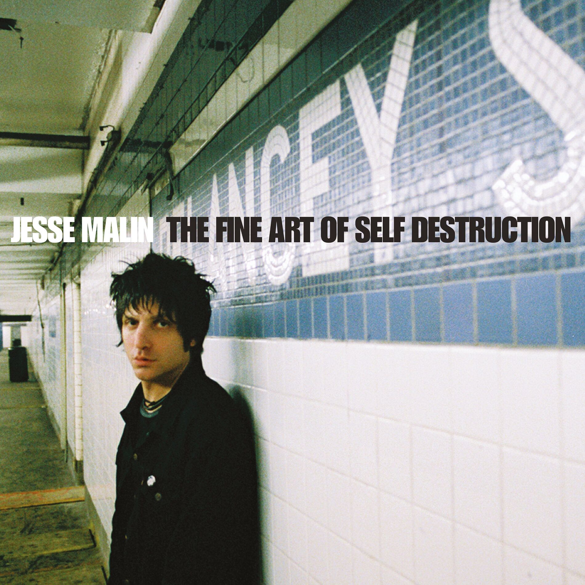 Album cover of The Fine Art Of Self Destruction (20th Anniversary Edition)