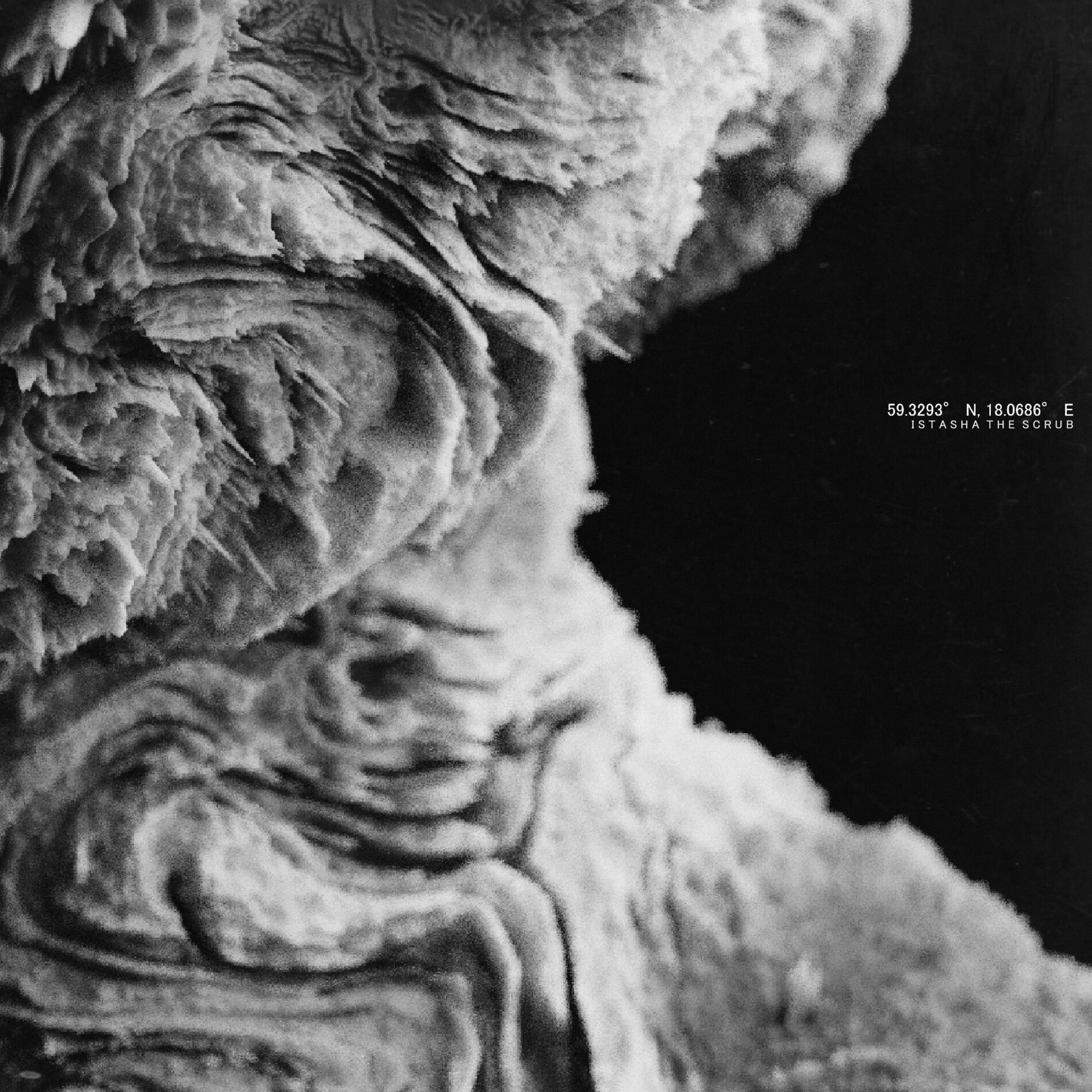 Album cover of Ninety-Ninety Rule (feat. Istasha)
