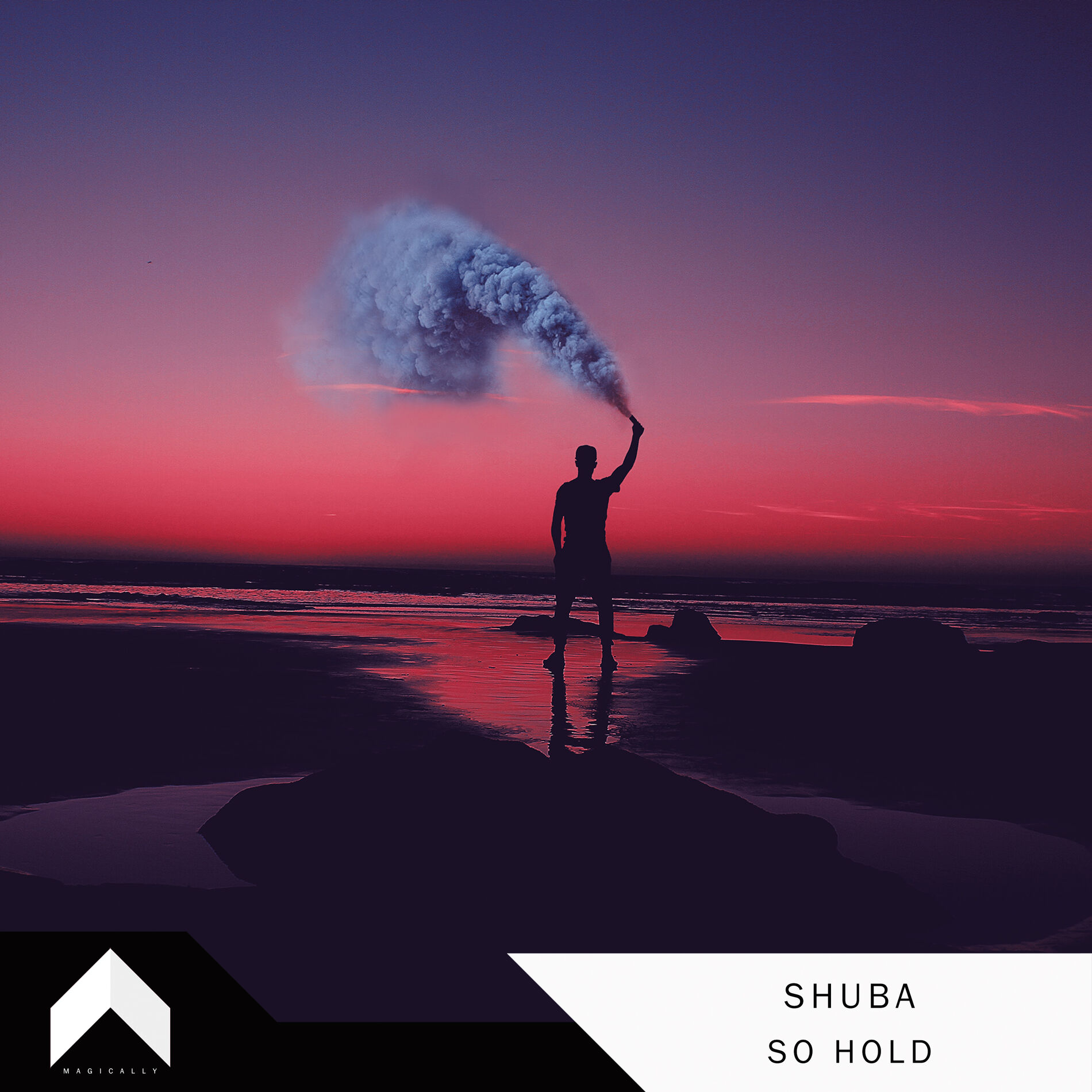 Album cover of Shuba - So Hold
