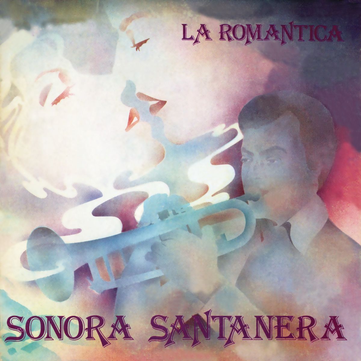 Album cover of La Romántica Sonora Santanera